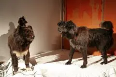 面接担当のつぶやき2015/01/14 15:15の投稿「愛と希望と勇気の日」