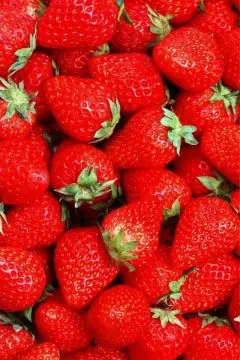 面接担当のつぶやき2015/01/15 14:12の投稿「苺の日」