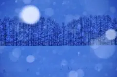 面接担当のつぶやき2015/01/30 15:12の投稿「雪が」