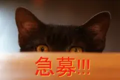 面接担当のつぶやき2015/02/02 15:26の投稿「早くも」