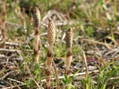 面接担当のつぶやき2015/03/04 15:05の投稿「寒い」