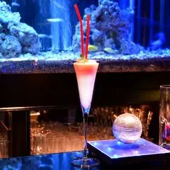 面接担当のつぶやき2015/05/13 15:09の投稿「カクテル」