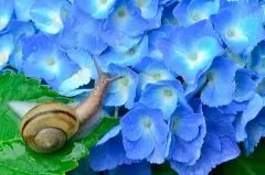 面接担当のつぶやき2015/05/20 15:11の投稿「梅雨」