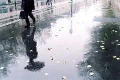 面接担当のつぶやき2015/07/04 16:29の投稿「残念」