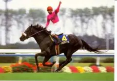 面接担当のつぶやき2015/11/06 17:49の投稿「競馬」