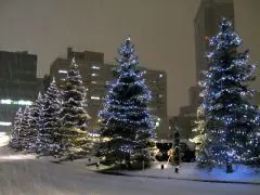 面接担当のつぶやき2015/12/07 16:14の投稿「クリスマスツリー」