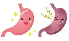 面接担当のつぶやき2015/12/11 16:10の投稿「胃腸の日」