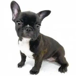 面接担当のつぶやき2023/01/27 23:28の投稿「やっと」