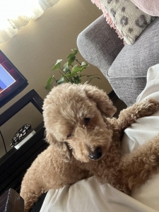 広島県広島市セクキャバ FORTUNE(フォーチューン) 高収入求人情報 面接担当のつぶやき2023/10/29 11:30の投稿「店休日」