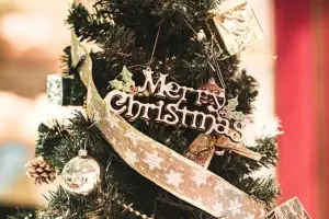 面接担当のつぶやき2022/12/19 23:43の投稿「感動」