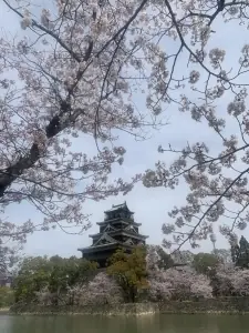 面接担当のつぶやき2022/04/08 12:00の投稿「お話するのが苦手で...」