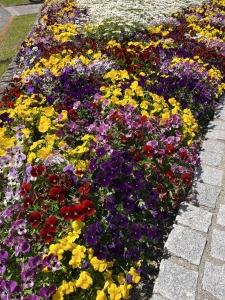 広島県広島市セクキャバ FORTUNE(フォーチューン) 高収入求人情報　面接担当のつぶやき2022/04/17 13:01の投稿「春爛漫」