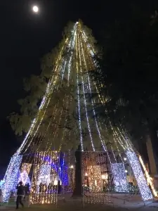 面接担当のつぶやき2021/11/18 21:49の投稿「イルミネーション」