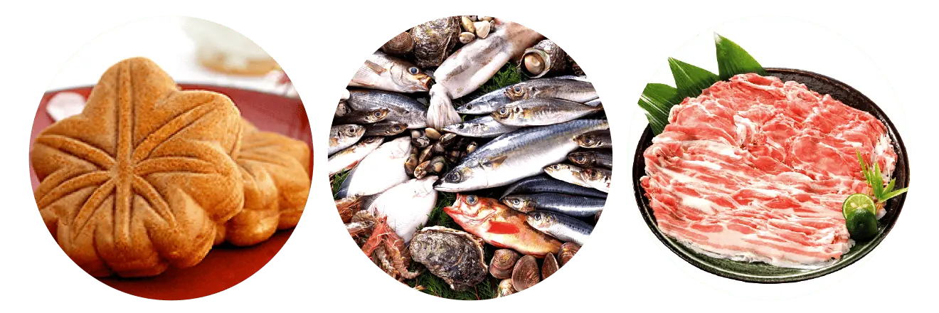 広島満喫イメージ2